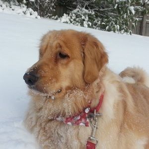 Meet your Posher, Maryann